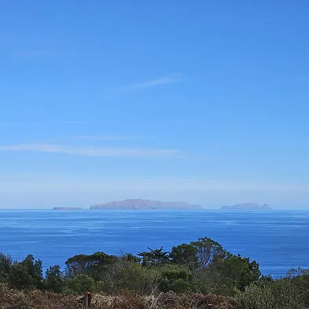 Discovery With Patio Discovery 2 *