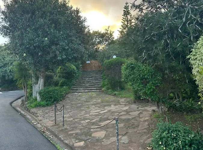 Discovery With Patio Discovery 2