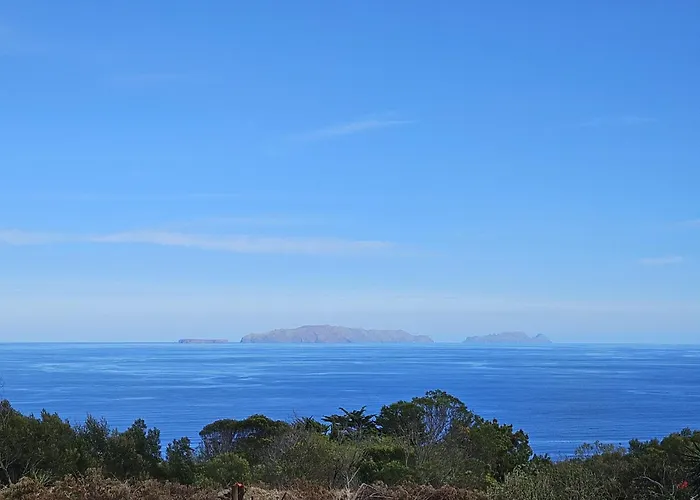 Discovery With Patio Discovery 2 *