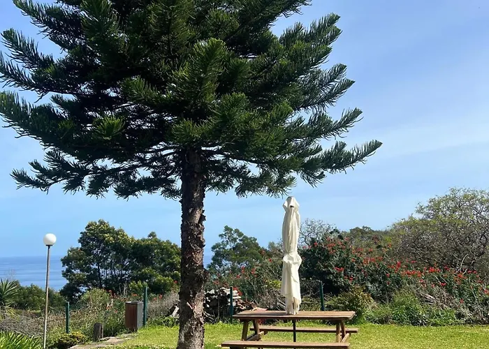 Discovery With Patio Discovery 2 Machico (Madeira)